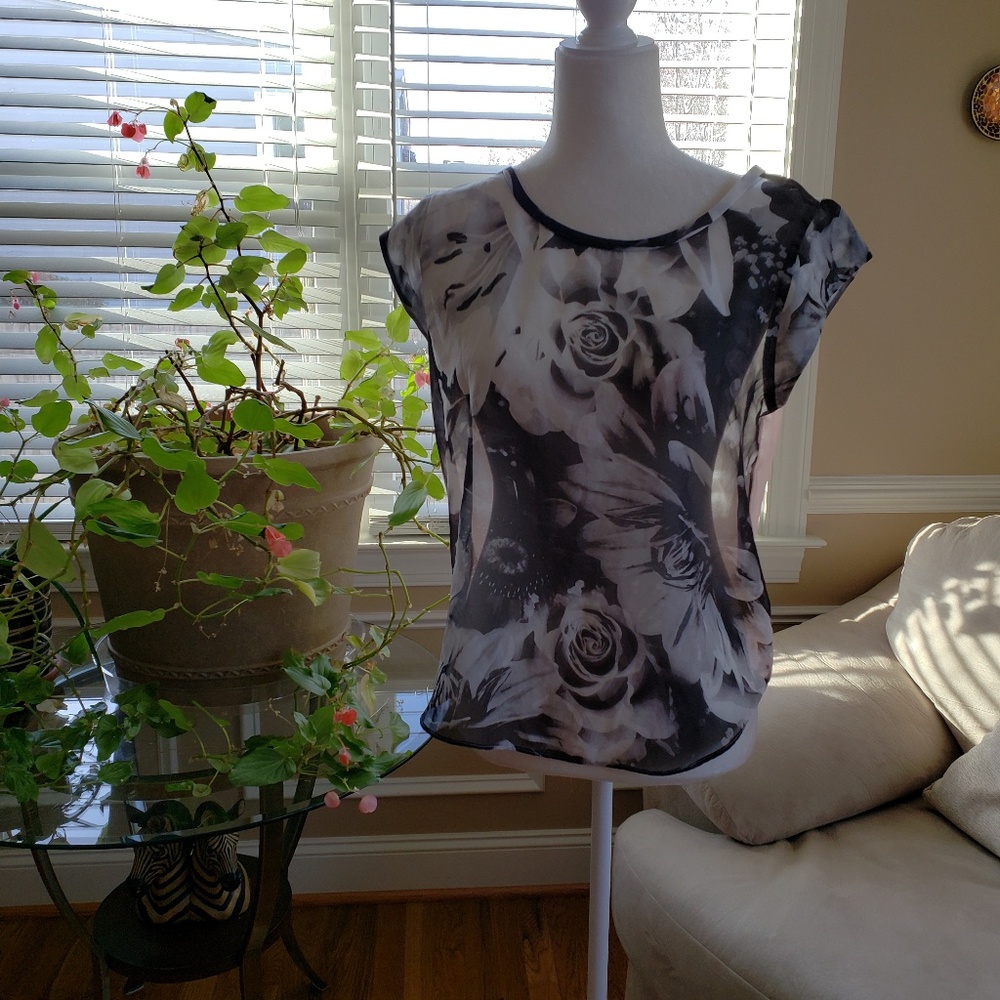 American eagle sheer top